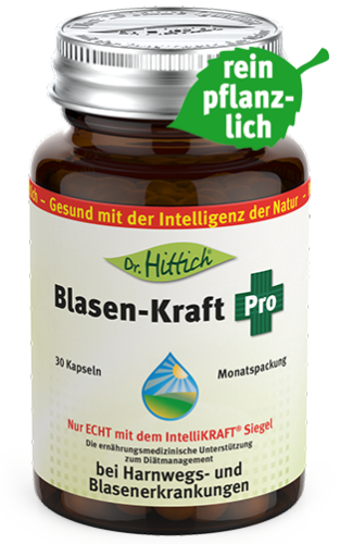 Artikelbild des Artikels “Blasen-Kraft Pro <span>- Kürbisextrakt-Kapseln</span> “